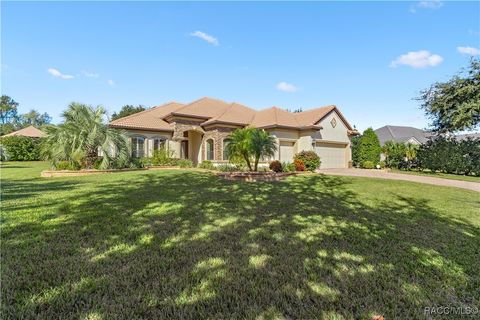 A home in Hernando