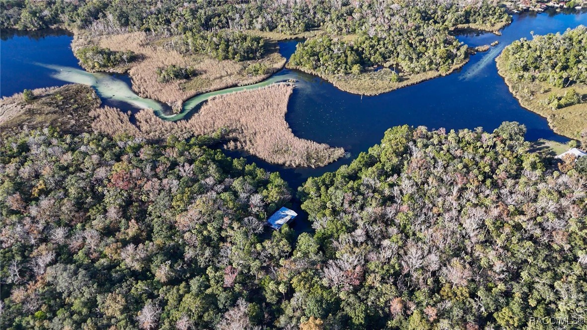 8964 W White Dogwood Drive, Homosassa, Florida image 4