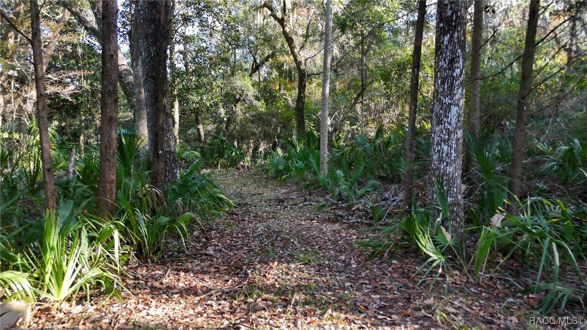 8964 W White Dogwood Drive, Homosassa, Florida image 18