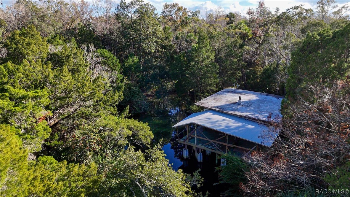 8964 W White Dogwood Drive, Homosassa, Florida image 9