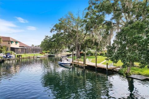 A home in Crystal River