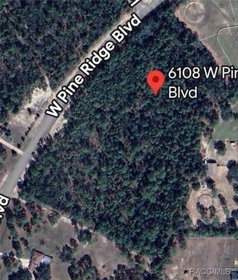 6108 W Pine Ridge Boulevard Beverly Hills FL 34465