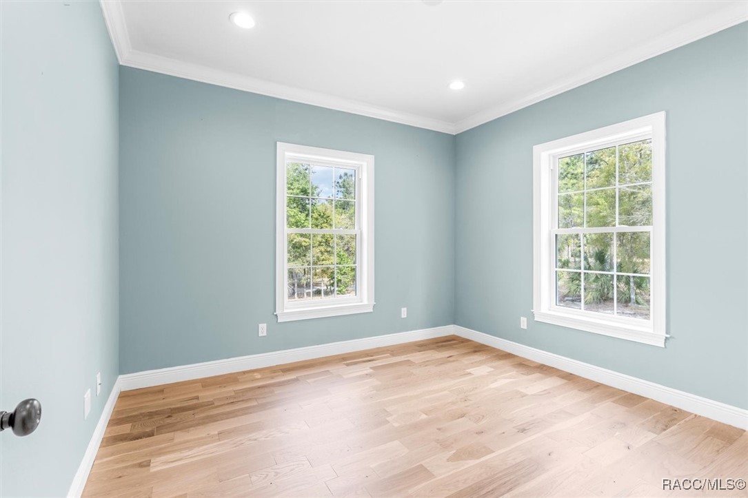 1388 N Rabeck Avenue, Lecanto, Florida image 29