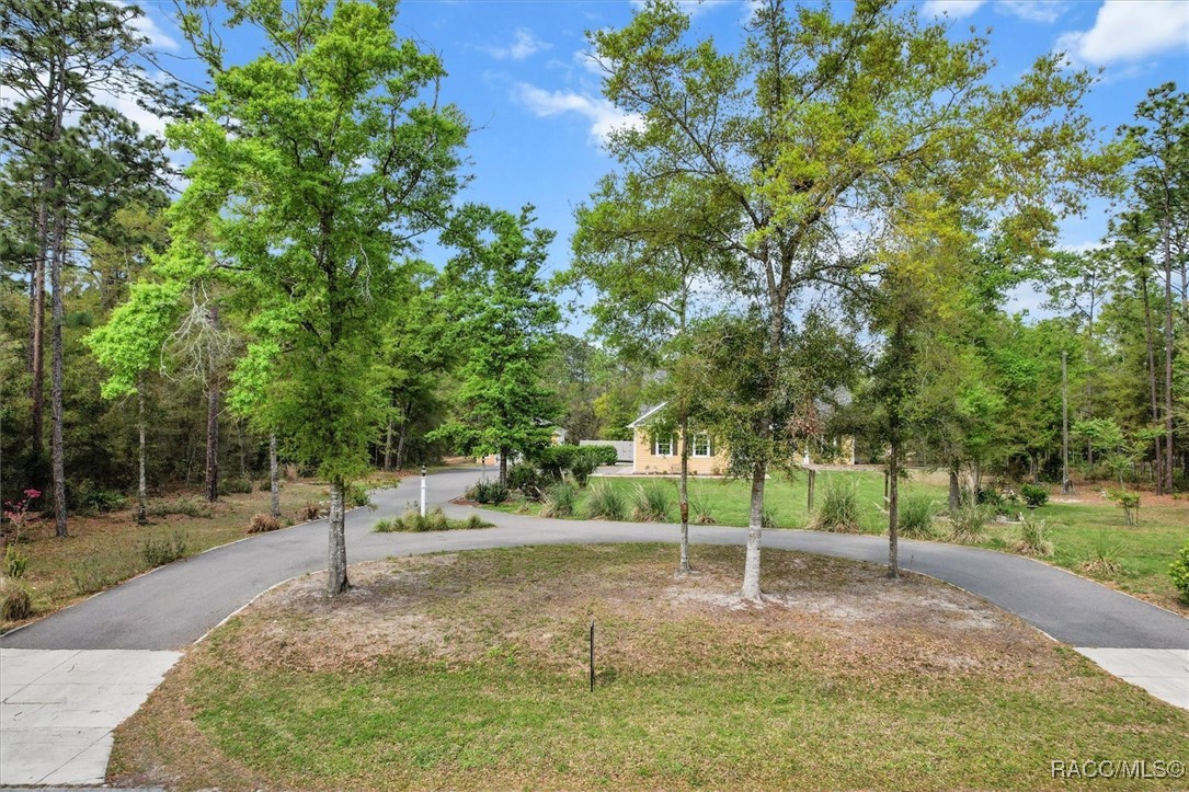 1388 N Rabeck Avenue, Lecanto, Florida image 50