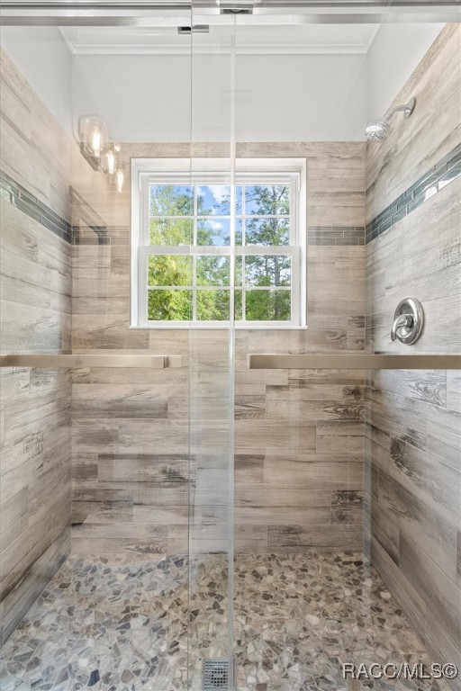 1388 N Rabeck Avenue, Lecanto, Florida image 28