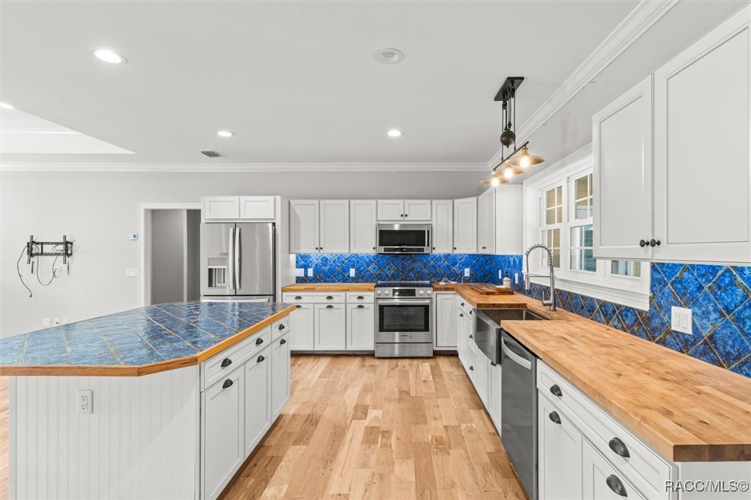 1388 N Rabeck Avenue, Lecanto, Florida image 14