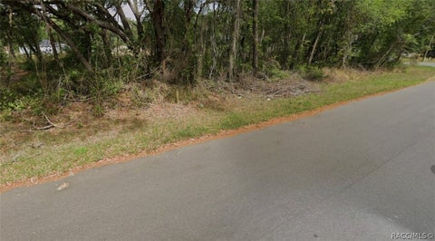 Vacant Land For Sale - Spring Loop Drive<br/> Ocala, FL 34472