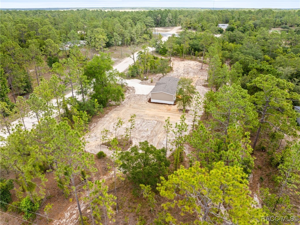 14440 SE 21st Place, Morriston, Florida image 10