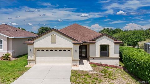 Homes For Sale - 1784 W Chelsea Ann Way<br/> Lecanto, FL 34461
