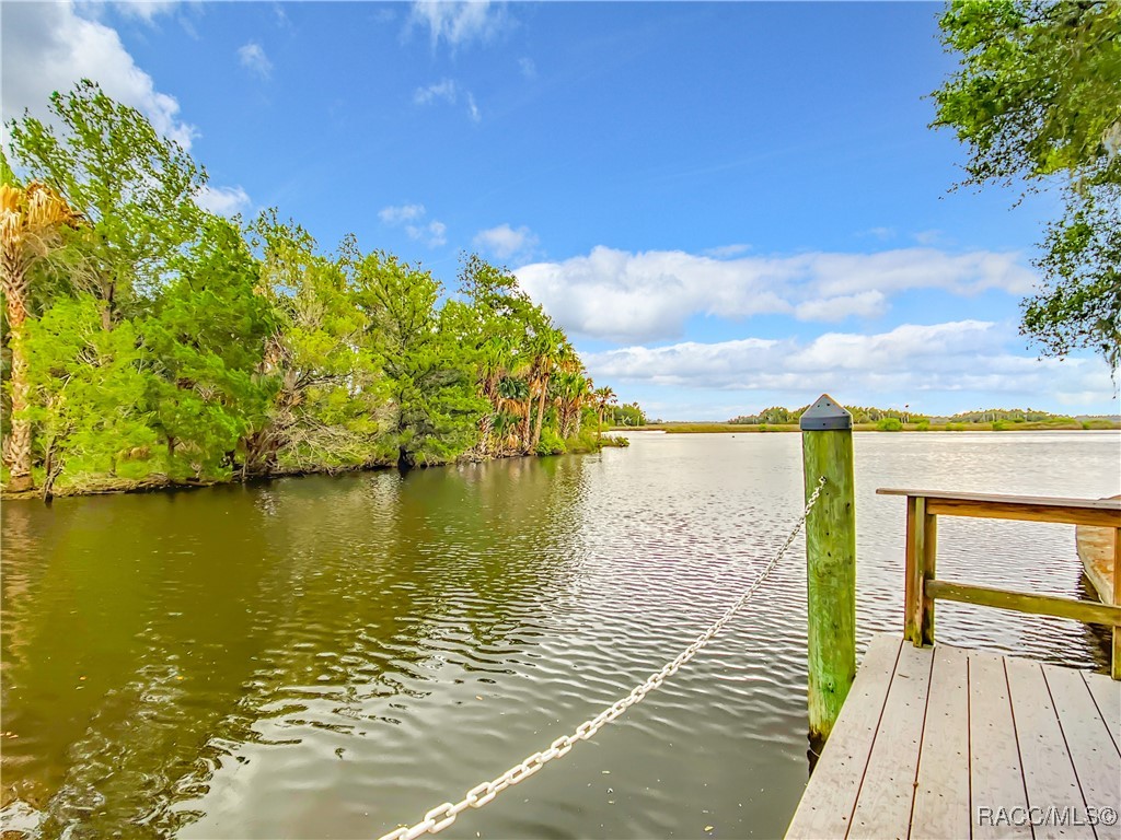 11378 W Bayshore Drive #47, Crystal River, Florida image 4