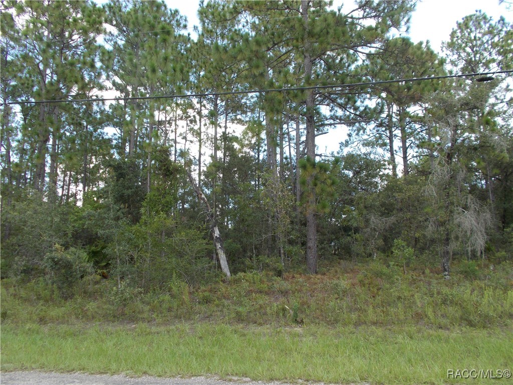 Citrus Springs, Florida 34434, United States, ,Land,Active,196049