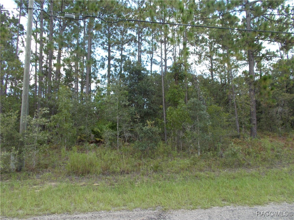 Citrus Springs, Florida 34434, United States, ,Land,Active,196049