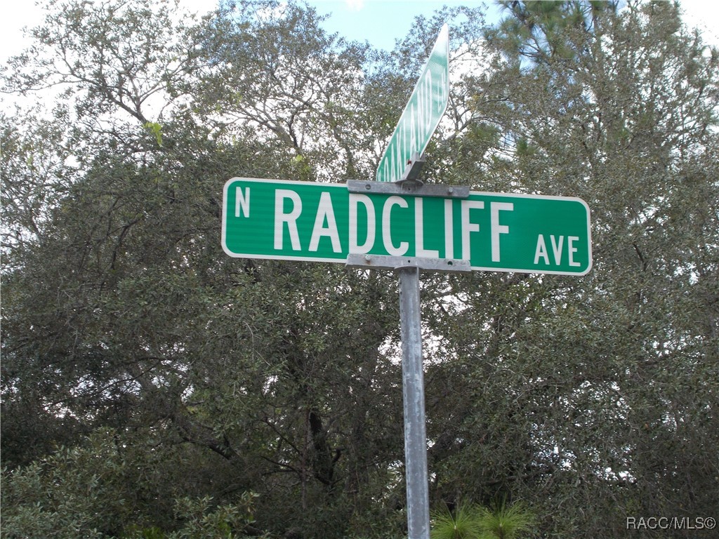 Citrus Springs, Florida 34434, United States, ,Land,Active,196049