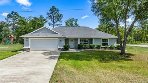 1348 W McNeal Drive Citrus Springs FL 34434