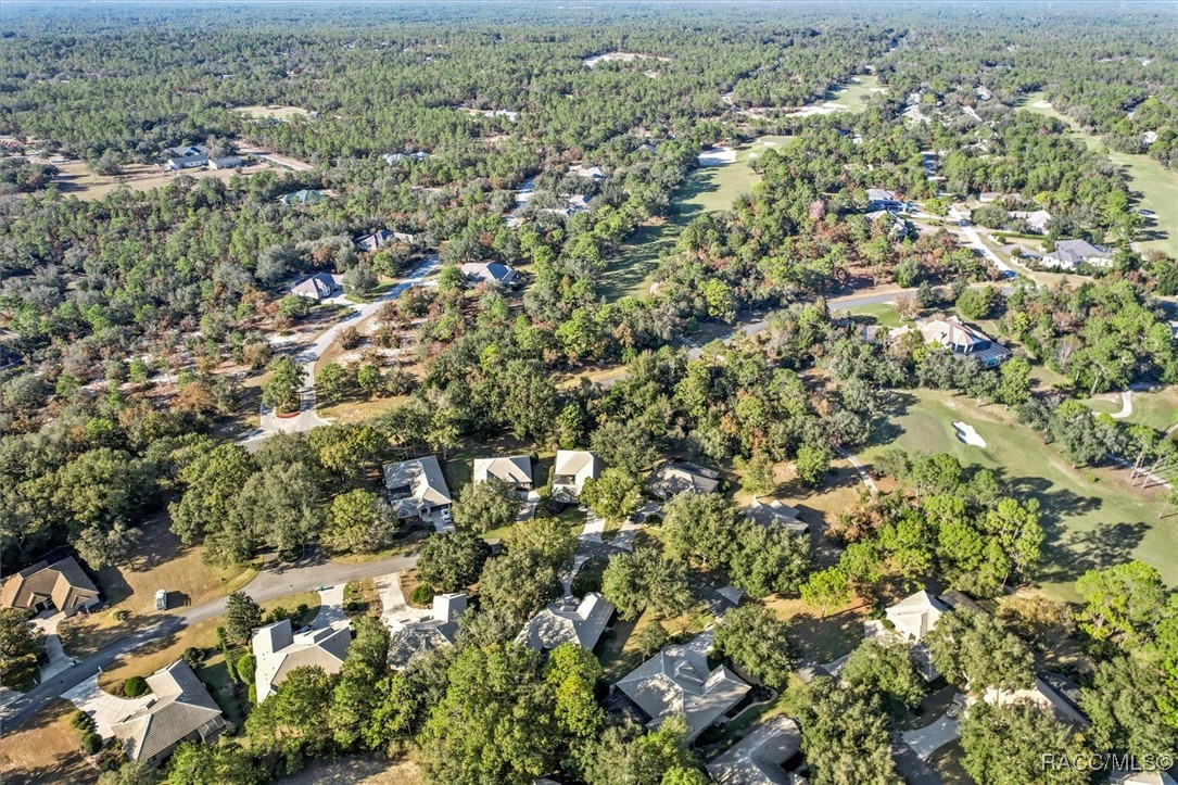 3089 N Barton Creek Circle, Lecanto, Florida image 47