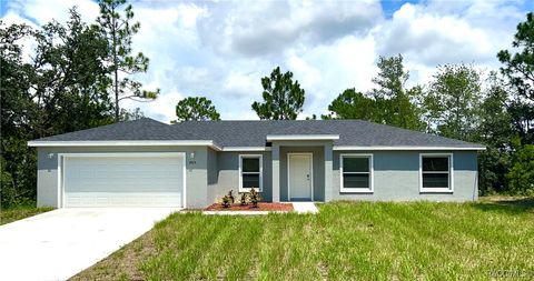 A home in Citrus Springs