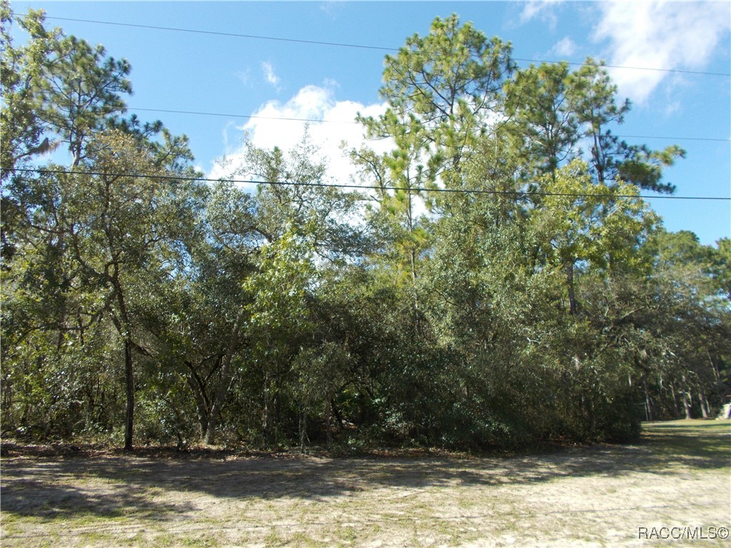 Citrus Springs, Florida 34434, United States, ,Land,Active,196097