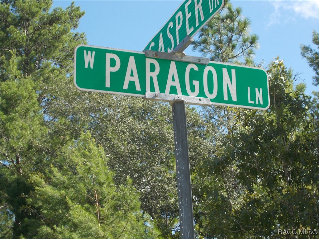 Citrus Springs, Florida 34434, United States, ,Land,Active,196097