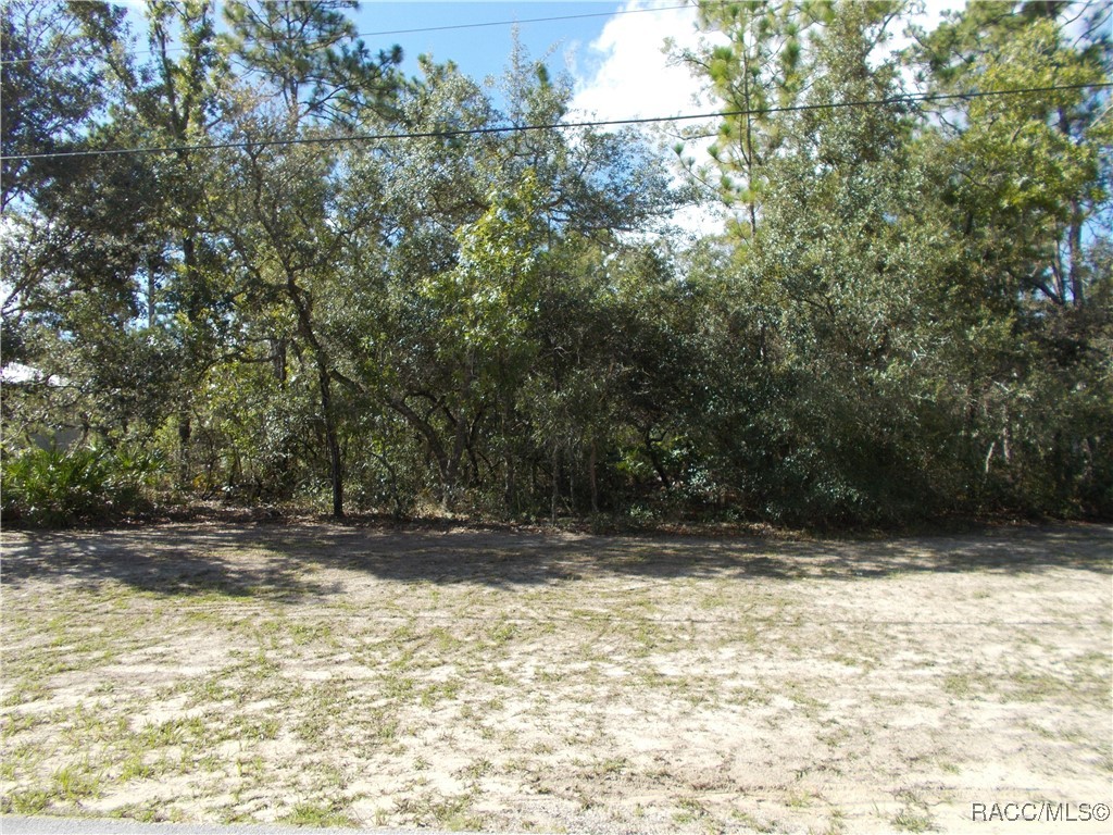 Citrus Springs, Florida 34434, United States, ,Land,Active,196097