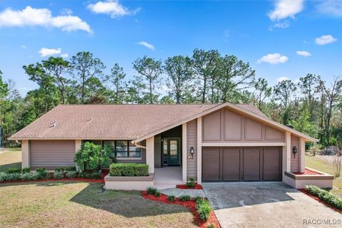 A home in Homosassa