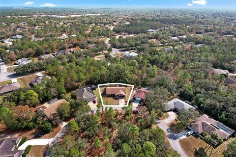 A home in Homosassa