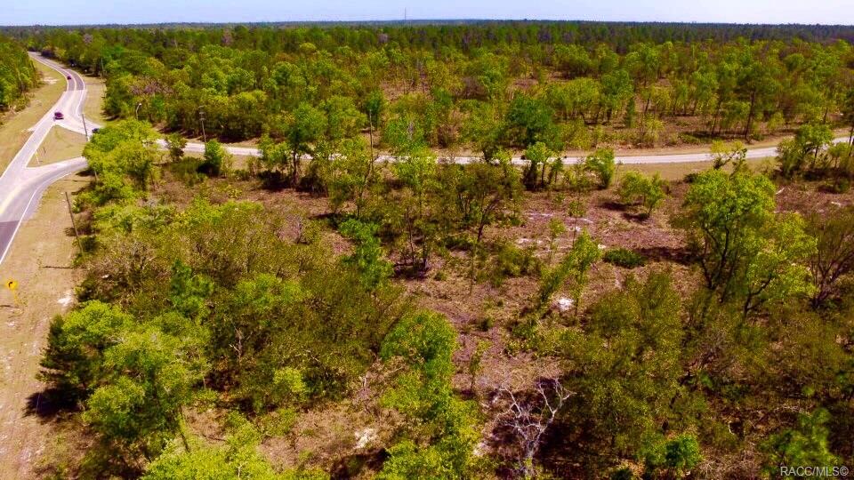 6753 W Ponce De Leon Boulevard, Homosassa, Florida image 17