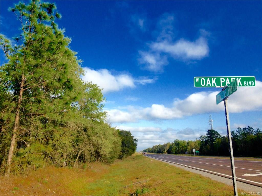 6753 W Ponce De Leon Boulevard, Homosassa, Florida image 22