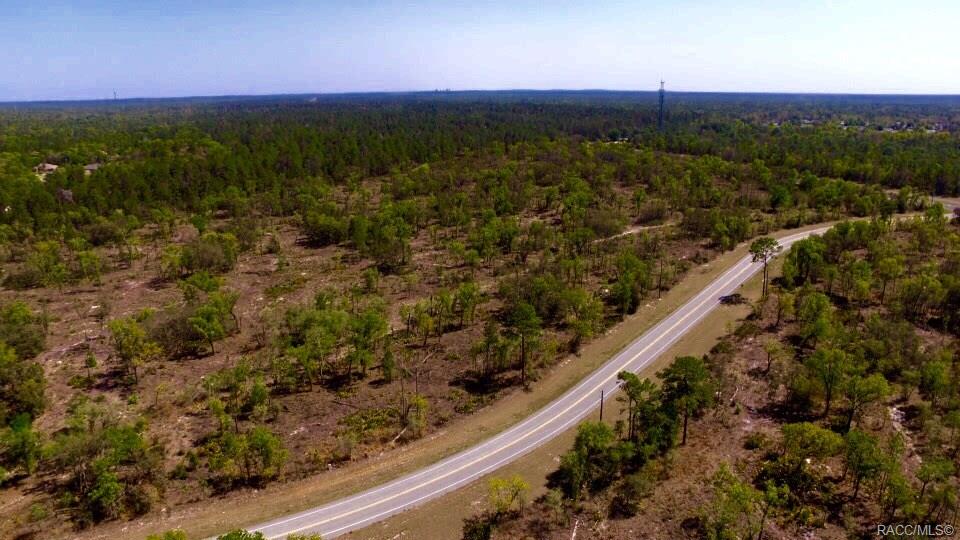 6753 W Ponce De Leon Boulevard, Homosassa, Florida image 7