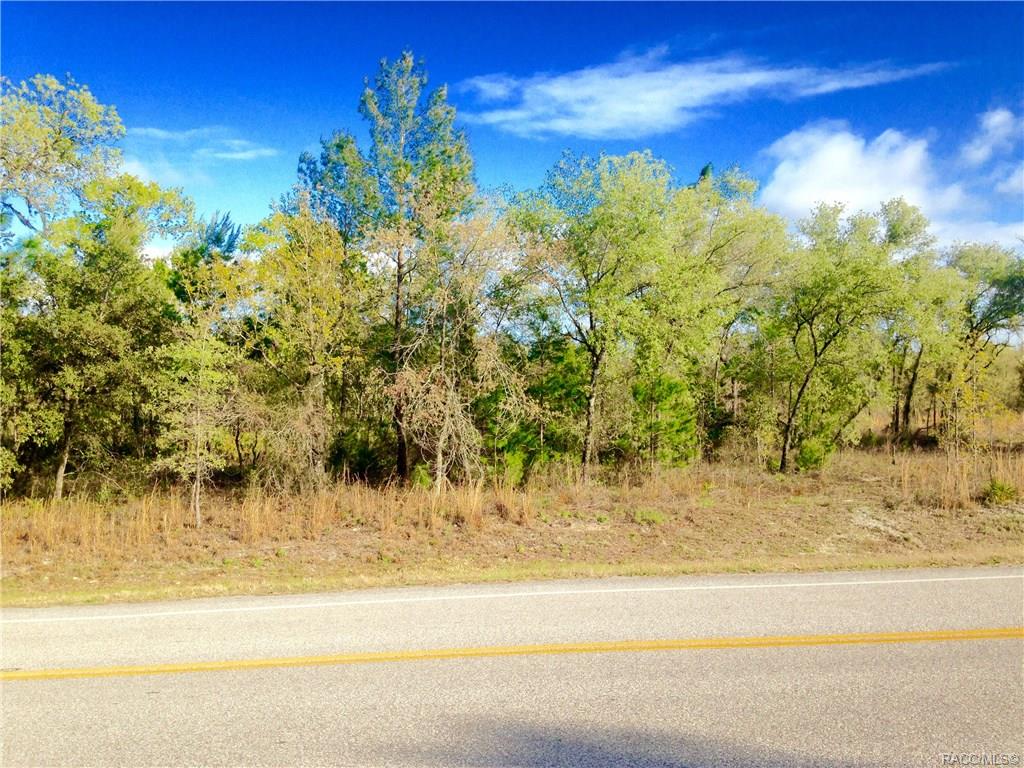 6753 W Ponce De Leon Boulevard, Homosassa, Florida image 26