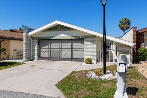 11491 W Riverhaven Drive Homosassa FL 34448