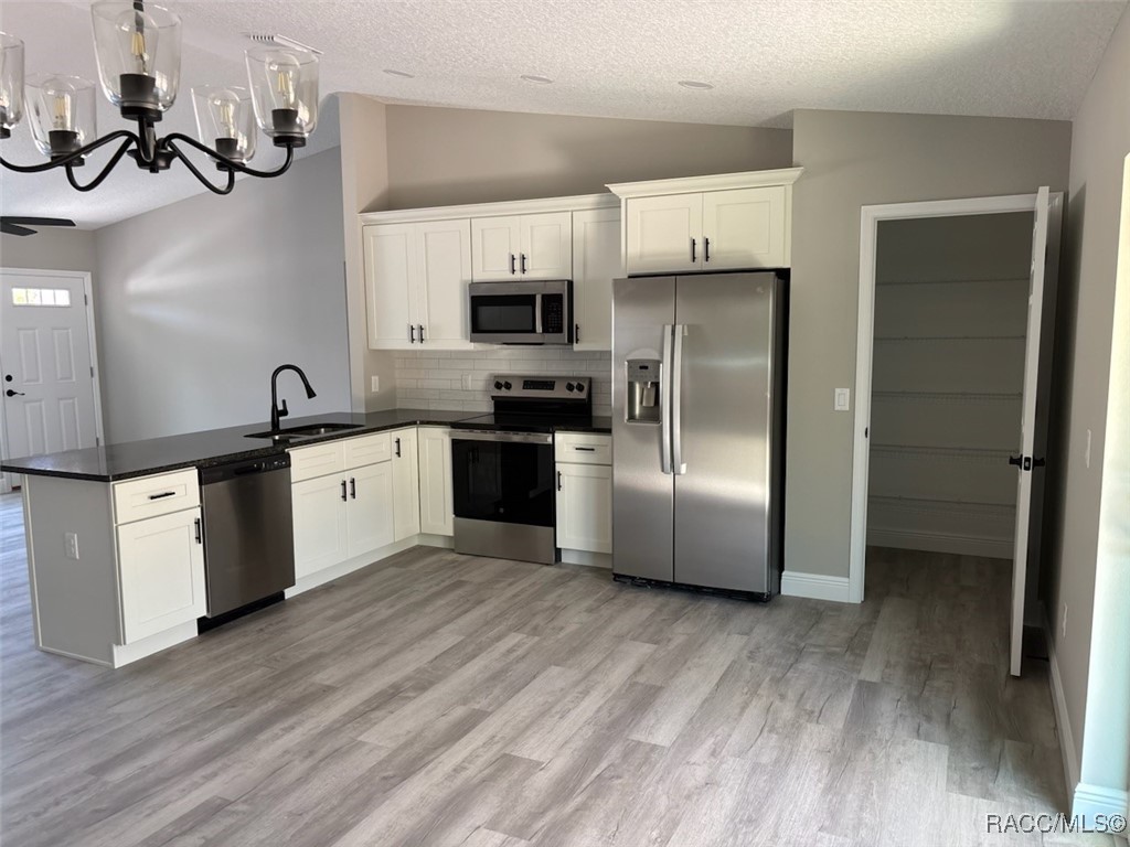10111 N Ruth Terrace, Citrus Springs, Florida image 14