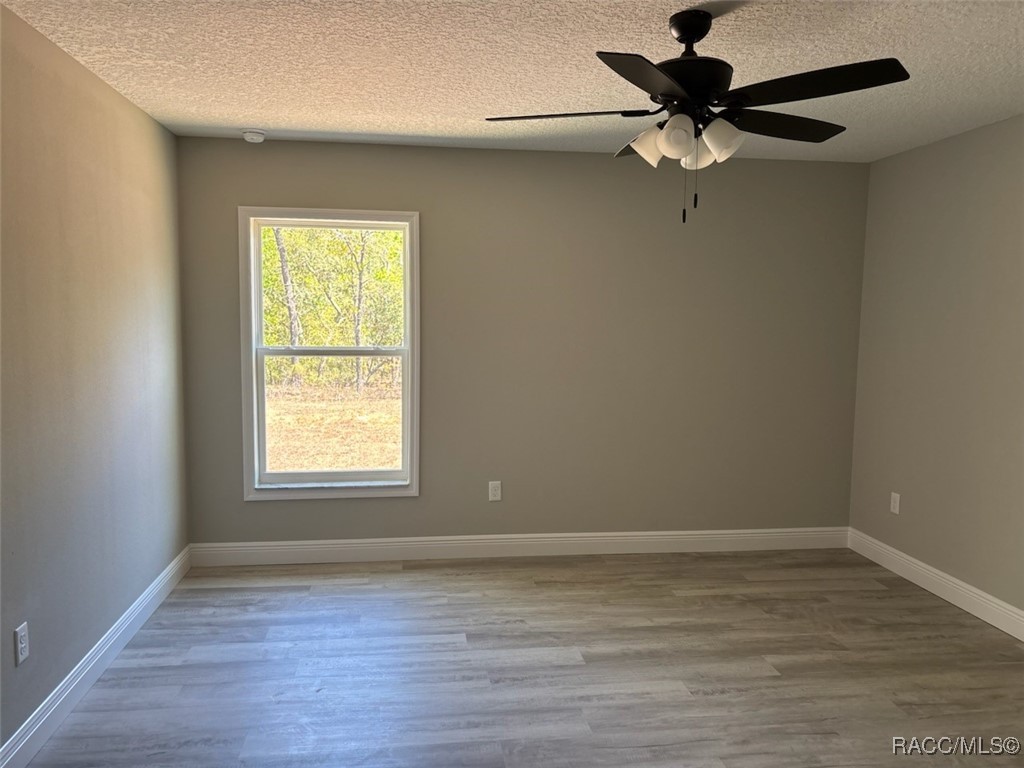 10111 N Ruth Terrace, Citrus Springs, Florida image 19