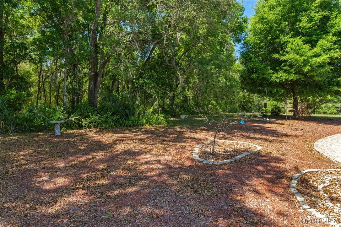 3650 E Hidden Cove Trail, Hernando, Florida image 33