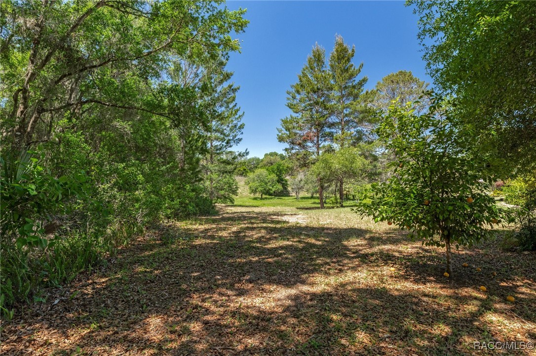 3650 E Hidden Cove Trail, Hernando, Florida image 34
