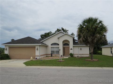 10501 S Drew Bryant Circle Floral City FL 34436
