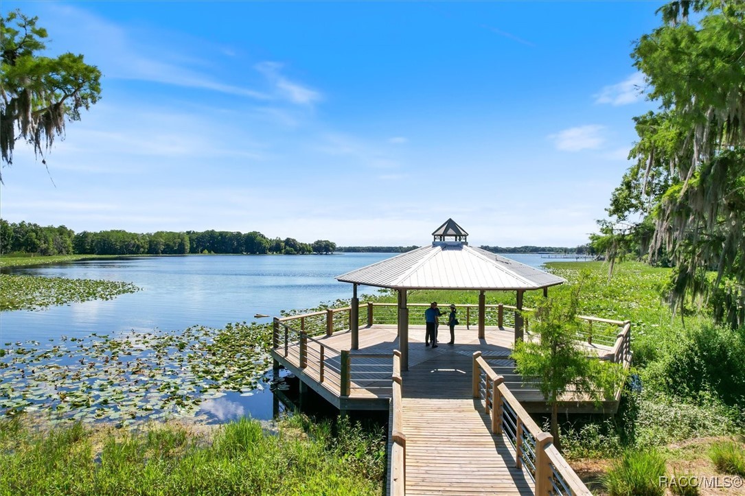 6107 E Elgin Lane, Inverness, Florida image 40