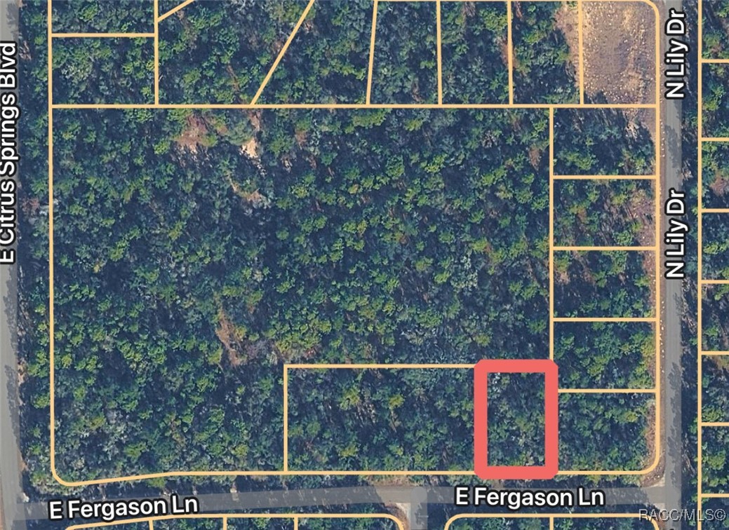 Photo 1 of 3 — 1409 E Fergason Lane, Citrus Springs, FL 34434