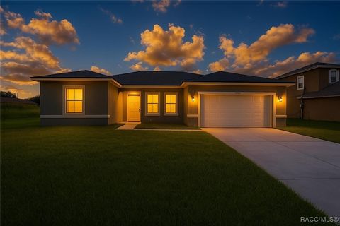 A home in Citrus Springs