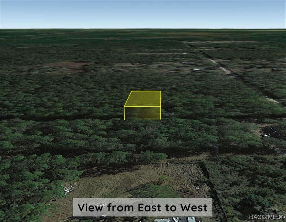 Lot C NE 66th Court, Citra, Florida image 11