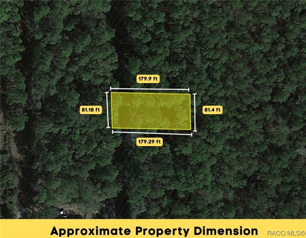 Lot C NE 66th Court, Citra, Florida image 6