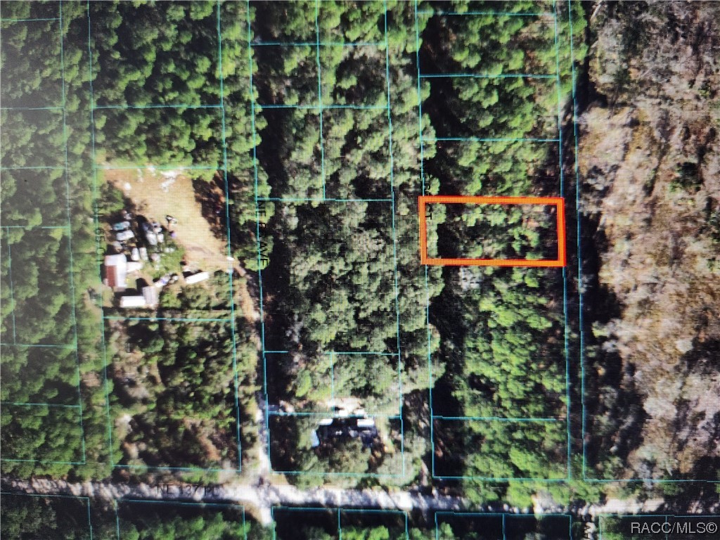 Lot C NE 66th Court, Citra, Florida image 3