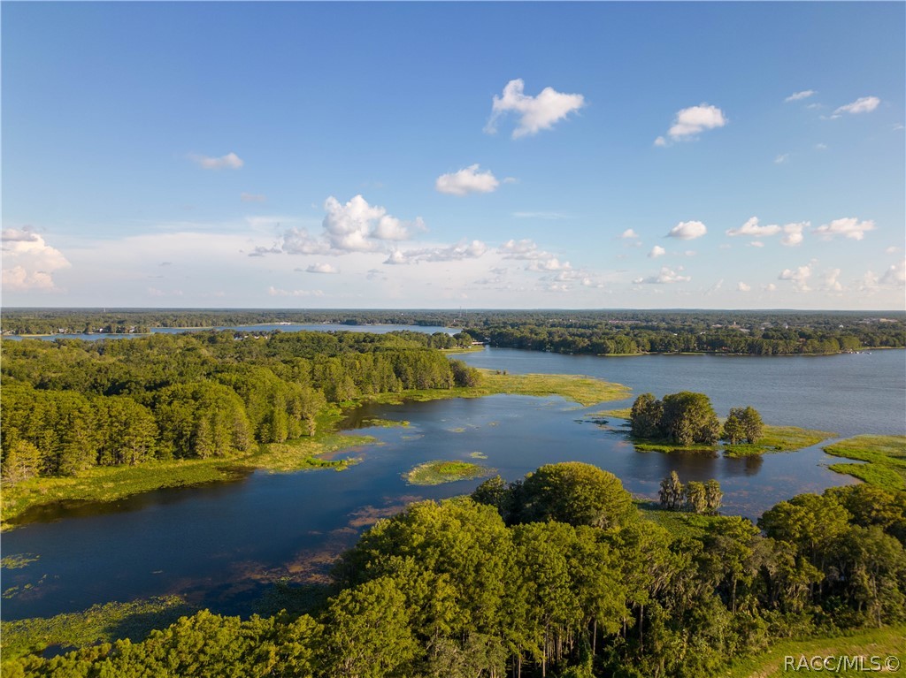 1240 Heron Point Drive, Inverness, Florida image 14