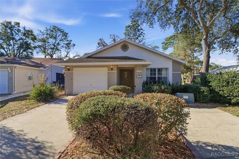 47 Chinaberry Circle Homosassa FL 34446