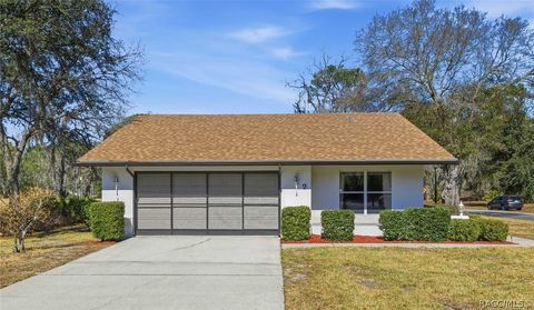 2 Fairwoods Court Homosassa FL 34446