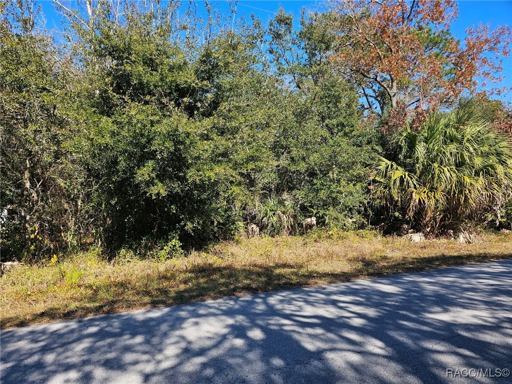 7147 W Jackson Lane, Homosassa, Florida image 1