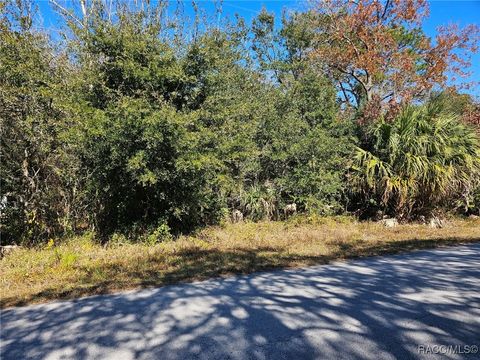 Vacant Land For Sale - 7147 W Jackson Lane<br/> Homosassa, FL 34448