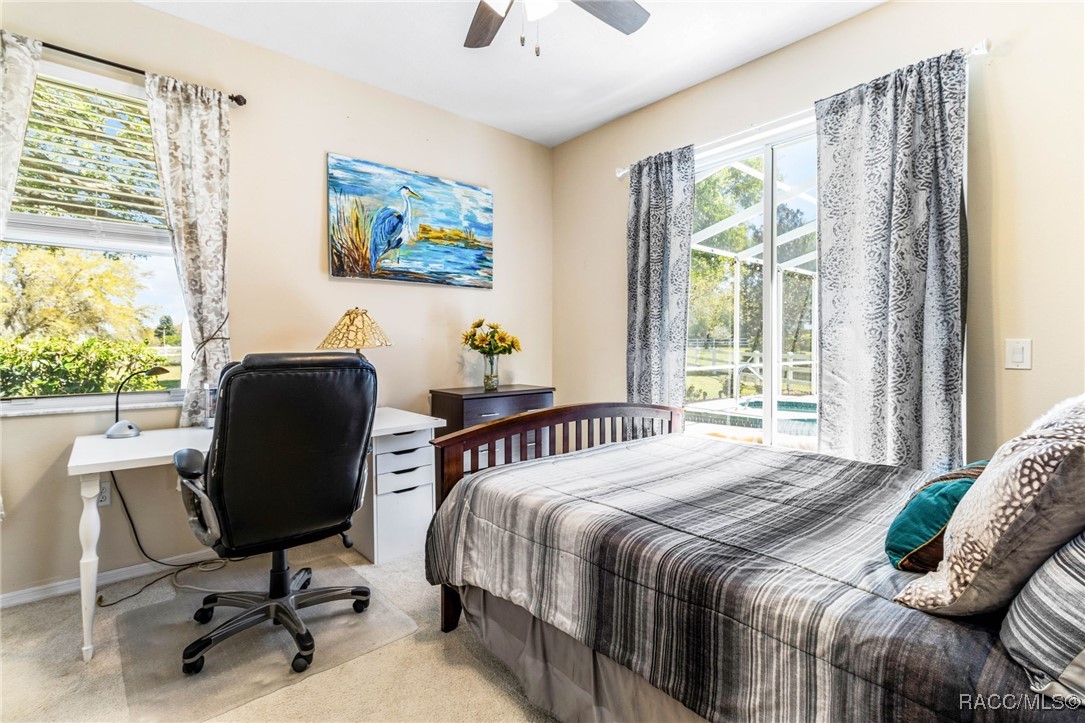 535 N Hambletonian Drive, Inverness, Florida image 45