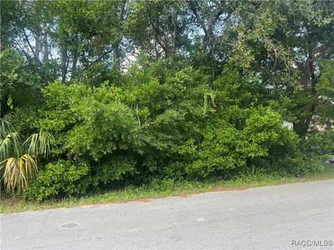 Vacant Land For Sale - 11 Jamaica Street<br/> Homosassa, FL 34446