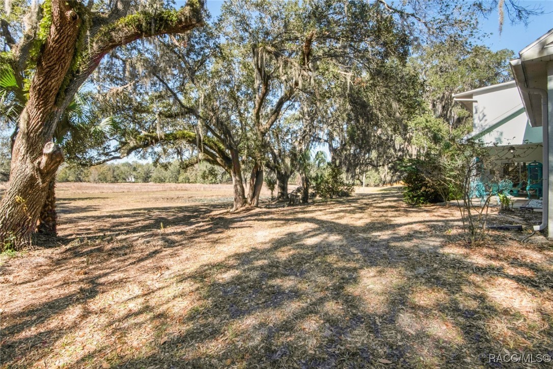 6012 N Mckree Terrace, Crystal River, Florida image 4