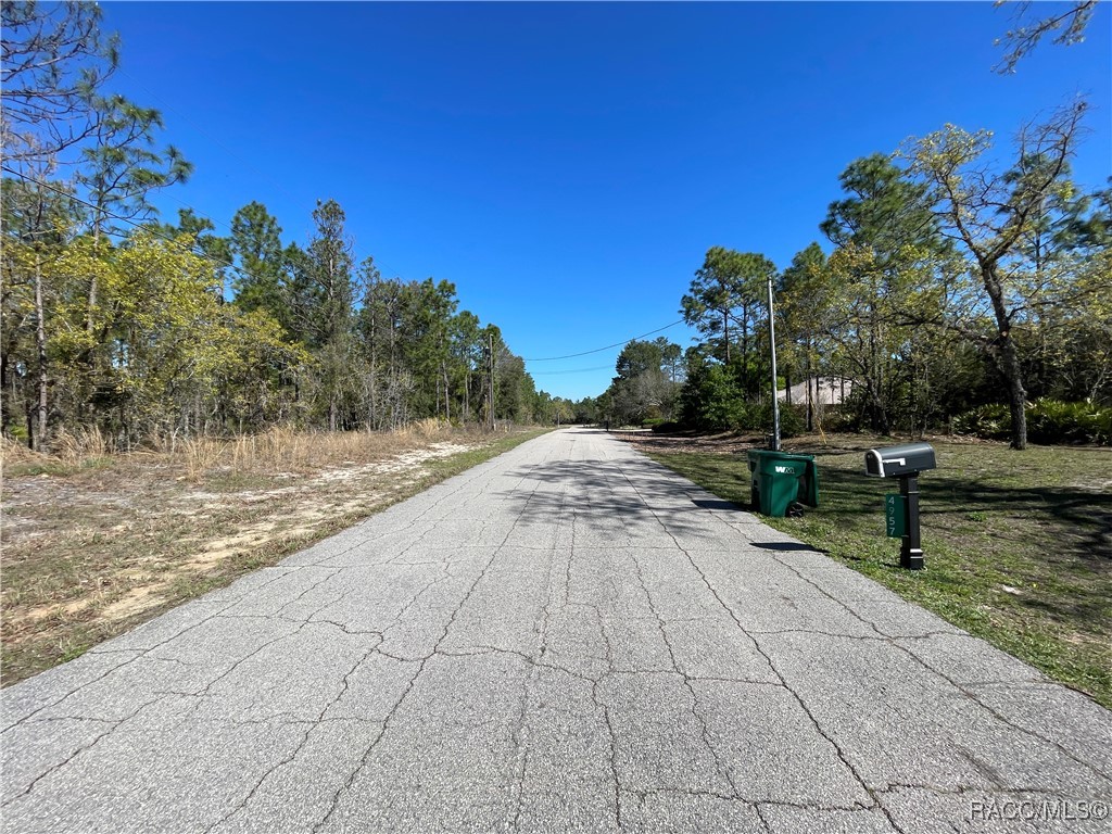 4972 N Redcloud Drive, Beverly Hills, Florida image 4